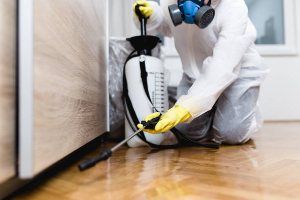 Best Residential Pest Control  in Woody, WA