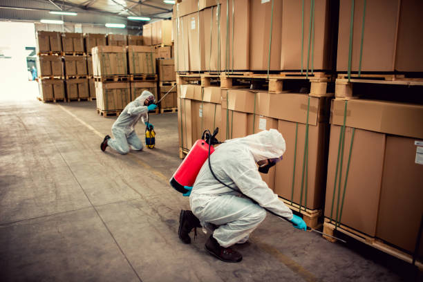 Best Emergency Pest Control  in Woody, WA