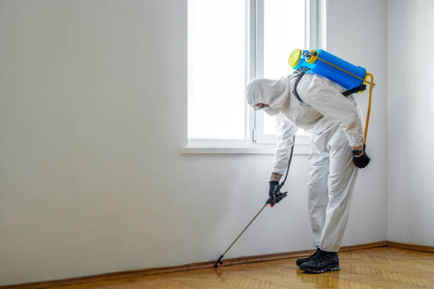 Wasp Removal Services in Woodway, WA