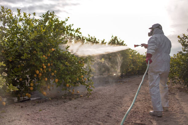 Best Affordable Pest Control Services  in Woody, WA