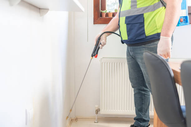 Best Flea Control Services  in Woody, WA