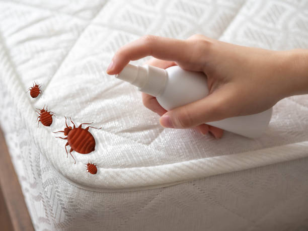 Best Best Pest Control Companies  in Woody, WA